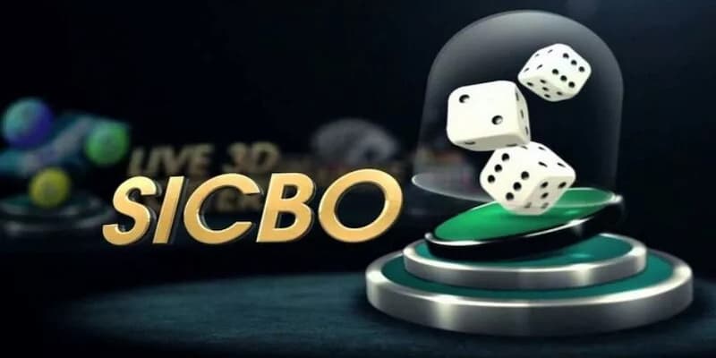 Sicbo Bongvip - Nền tảng chơi live casino hấp dẫn, an toàn